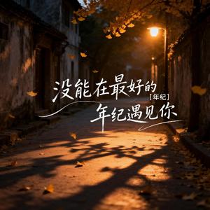 没能在最好的年纪遇见你
