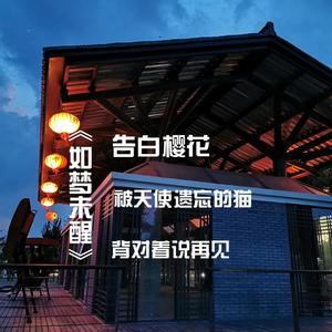 被天使遗忘的猫