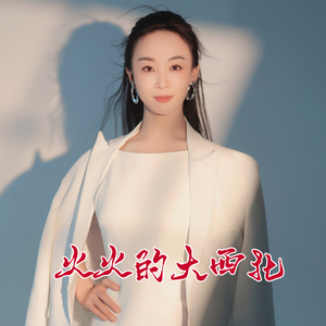 火火的大西北 (Dj默涵版)