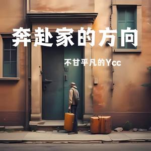奔赴家的方向