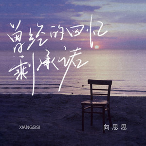 曾经的回忆剩承诺 (DJ九零版)