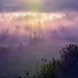 Moments