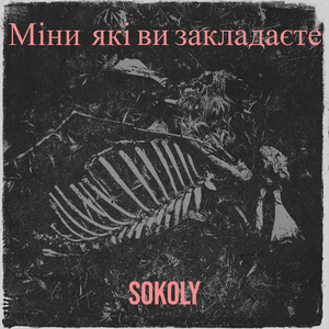 Міни які ви закладаєте