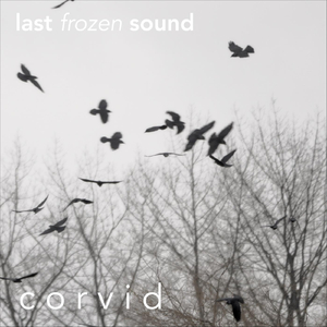 Corvid