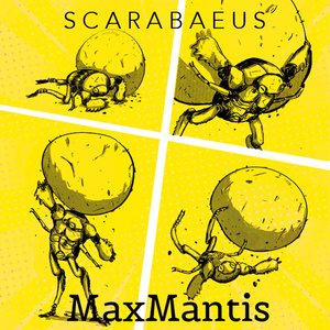 Scarabaeus
