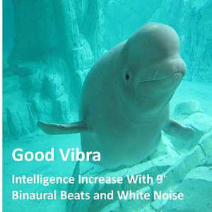 Intelligence Increase With 9' Binaural Beats and White Noise