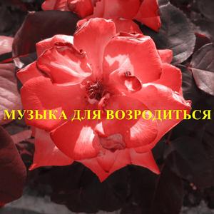 ?????? ??? ???????????