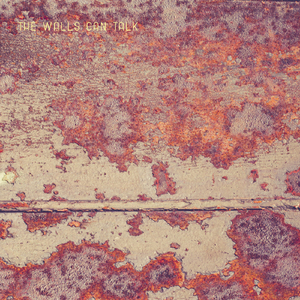 The Walls Can Talk (TOKI Remix Extended Mix)