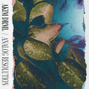 René (Sound Synthesis Remix)