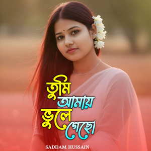 তুমি আমায় ভুলে গেছো