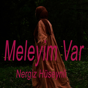 Meleyim Var
