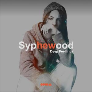 Next Groove (Syphewood Remix)