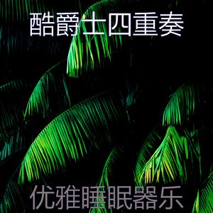 太棒了正在学习器乐