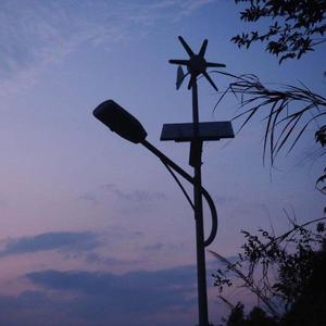 雨爱（翻自 南拳妈妈）