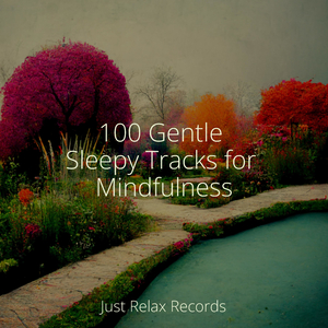 Shifting Visions Within