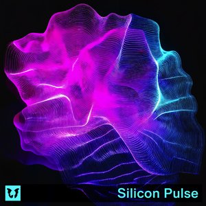 Silicon Pulse