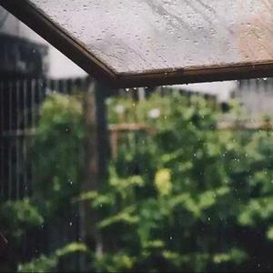雨后