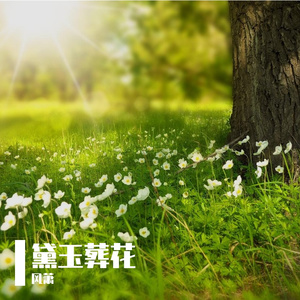 黛玉葬花