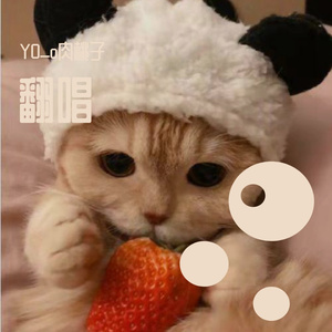 我是一条酸菜鱼