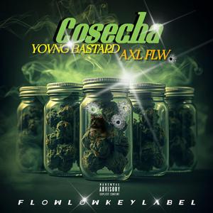 Cosecha (feat. AXL FLW)