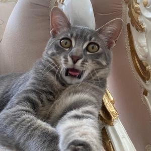 ayağımıza taş değmesin