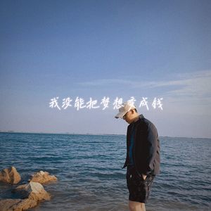 我没把梦想变成钱