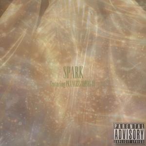 SPARK