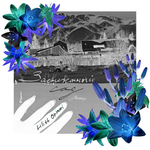 Заснеженный сад (Минор)