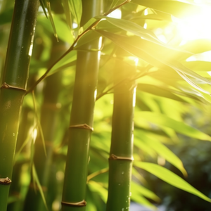 幸福蔓延处的思念