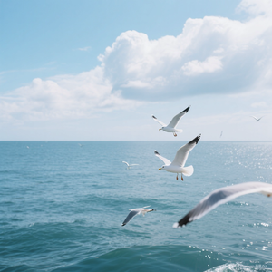 时间尽头的重逢demo