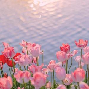 程佳佳-山楂树之恋