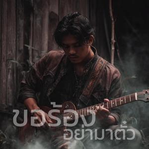 ขอร้องอย่ามาตั๋ว