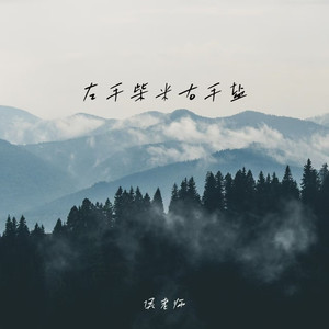 左手柴米右手盐