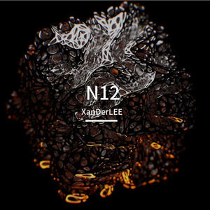 N12