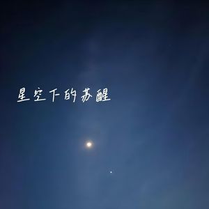 星空下的苏醒