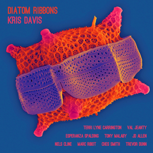 Golgi Complex (The Sequel) [feat. Nels Cline, Marc Ribot, Trevor Dunn, Val Jeanty & Terri Lyne Carrington]