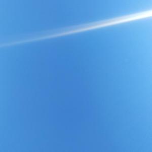 陪我到可可西里去看海（大冰）