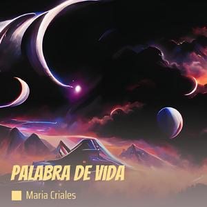 Ancha Kusisqan Kachkani