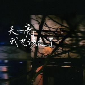 天一亮我也该走了（男声版）