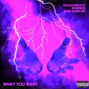 What You Want (feat. Sam Gumilar)