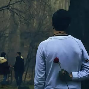 SeGinDim_电子现场