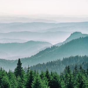 This Land is Your Land