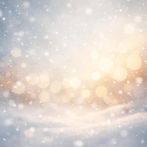 静かな雪の夜 (Silent Snowy Night)
