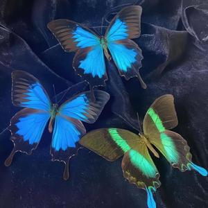 木偶小丑夏师在刘浪·不到目的不罢休·不择手段·在家就能看到绝美缘分添空诗如画:待到冬添·晚霞逐渐消失