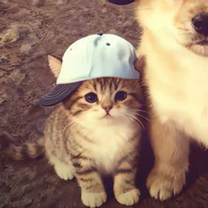 Friesenjung (slowed)