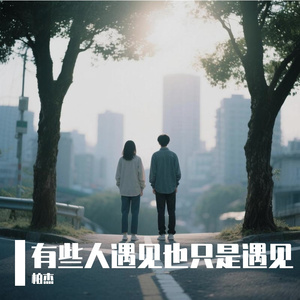 有些人遇见也只是遇见 伴奏