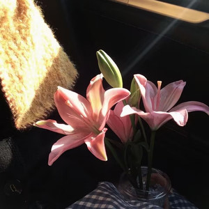 姬芽摇5(卡点旋律)