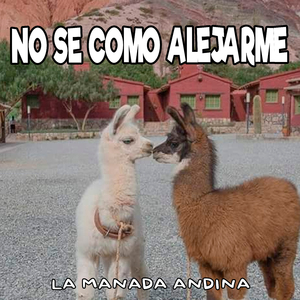 No Se Como Alejarme
