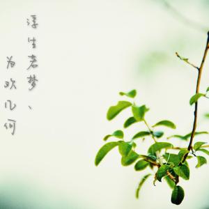 浮生若梦，为欢几何 伴奏