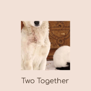 Two Together